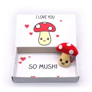 I love you gift, magnet in a matchbox