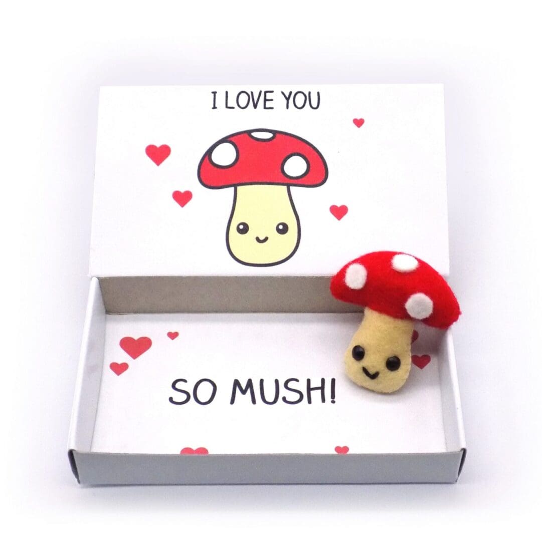 I love you gift, magnet in a matchbox