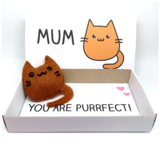 Felt cat magnet in a matchbox