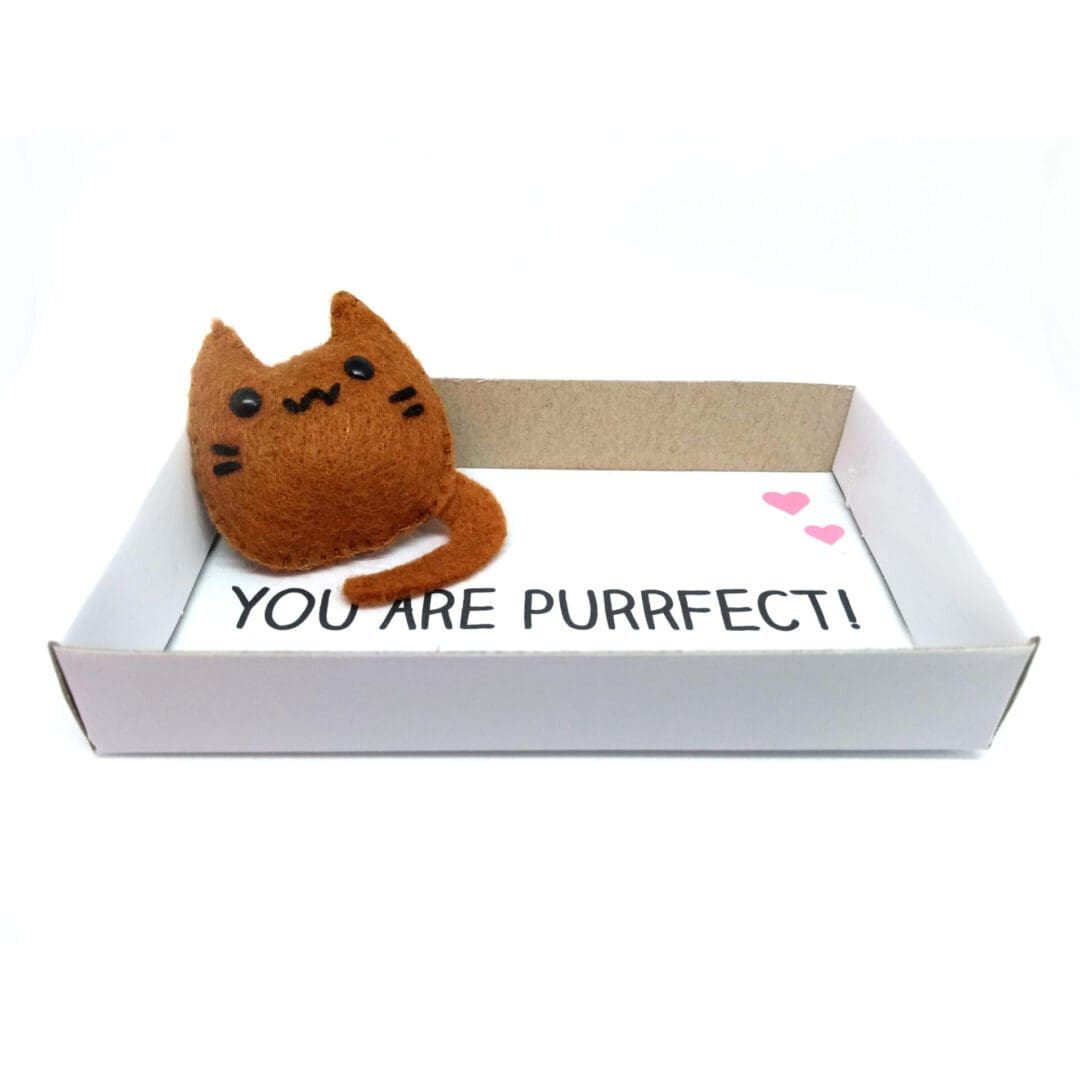 Felt cat magnet in a matchbox - Image 2