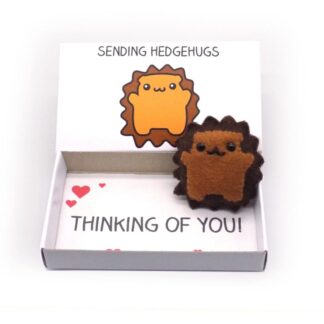 Thinking of you Hedgehog gift