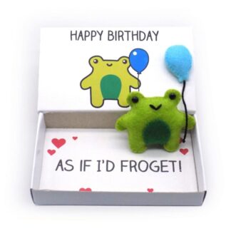 Cute frog birthday gift