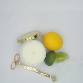 Citrus Grove Scented Candle