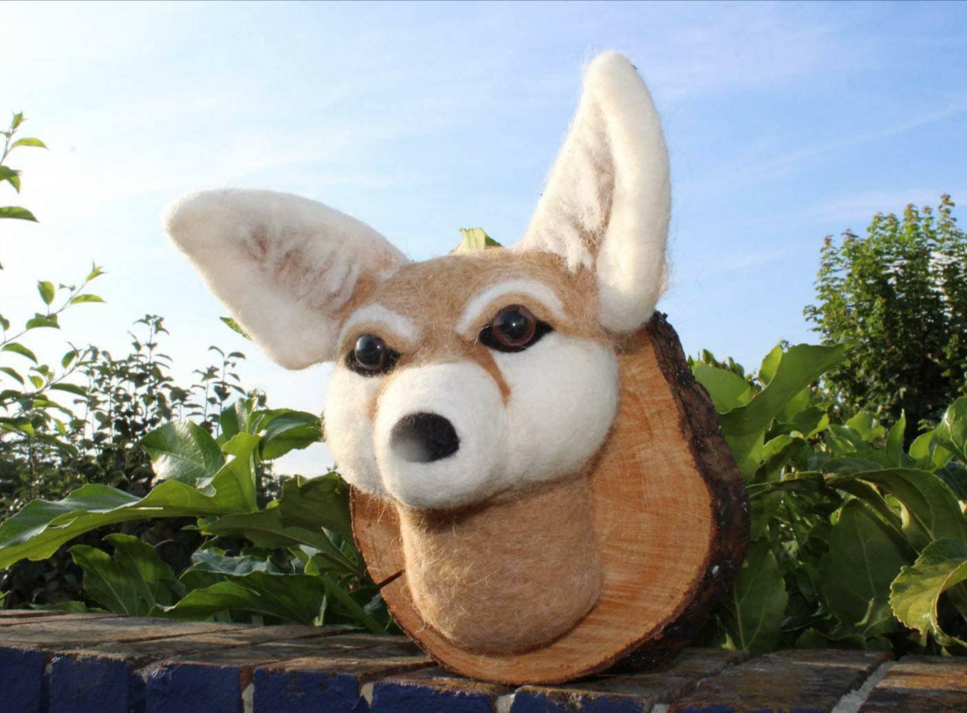 Bespoke and unique fennec fox felted faux taxidermy wall decoration. Liven up your gallery wall! Needle felted by hand, mounted on reclaimed natural wood slice