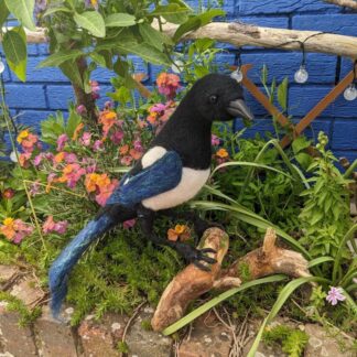 Life sized striking needle felted magpie sculpture. One-off wool piece of fibre and wood art to celebrate nature.