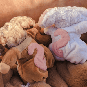 brown mouse doll with white mouse doll from the rear showing blanket stitch pink appliqué tails