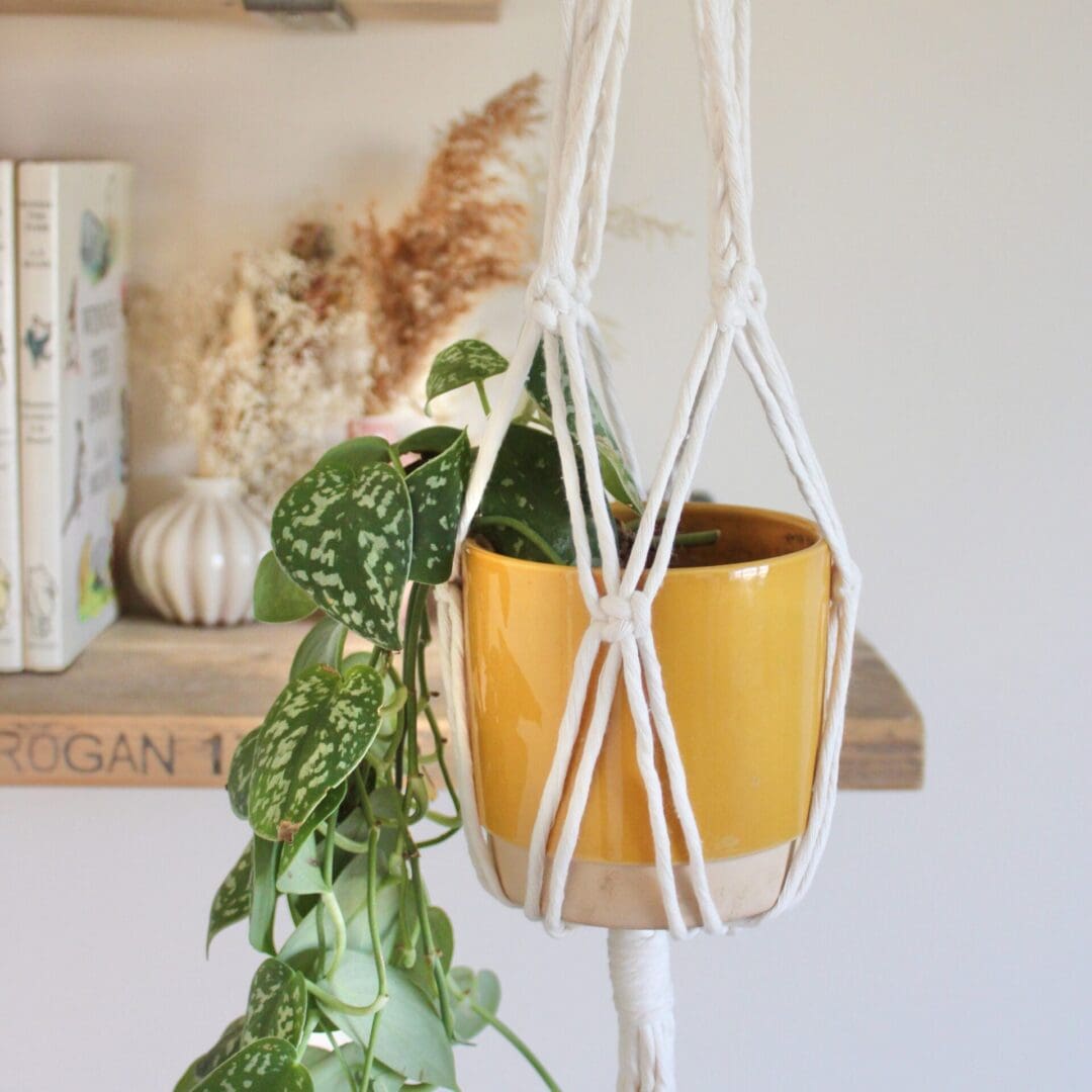 DIY Plant Hanger Kit, Macrame DIY Kit, Gardeners Gift, Plant Lover Gift, Plant Hangers - Image 4