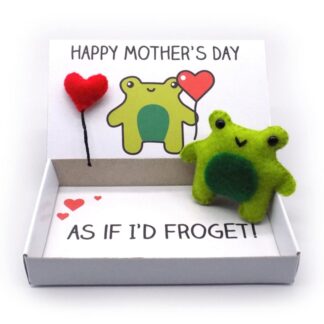 Handmade mother's day gift frog magnet in a matchbox