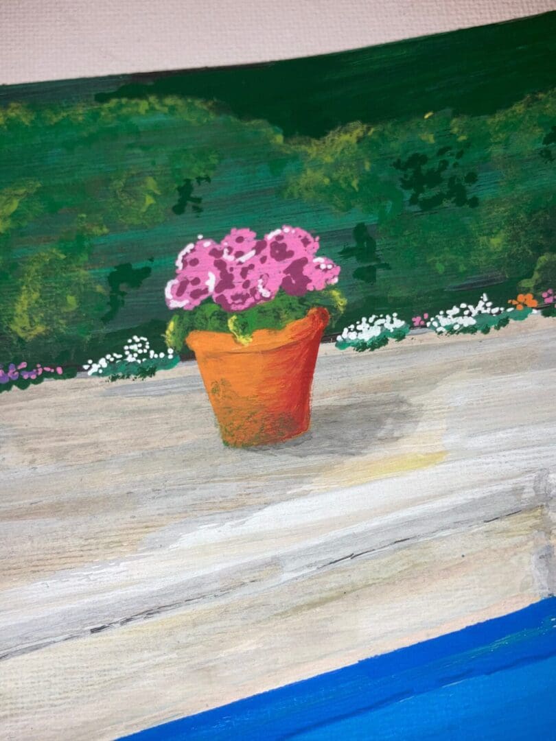 close up of small hydrangea in a terracotta pot