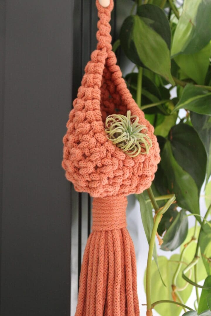 Terracotta Pod Hanger