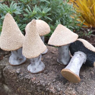 Miniature Textured Ceramic Mushrooms