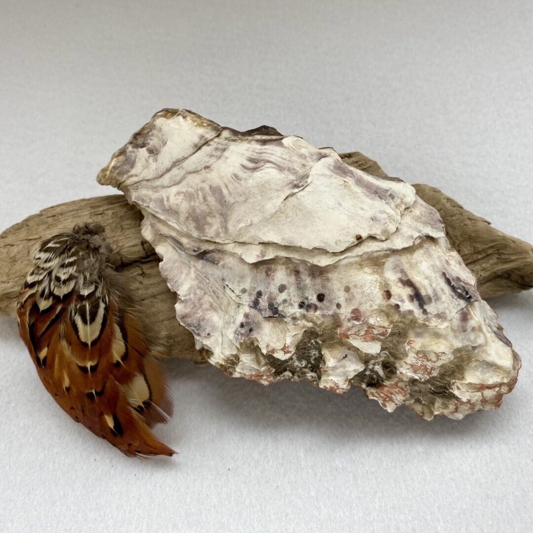 A handcrafted Decoupaged Oyster Shell - Image 3