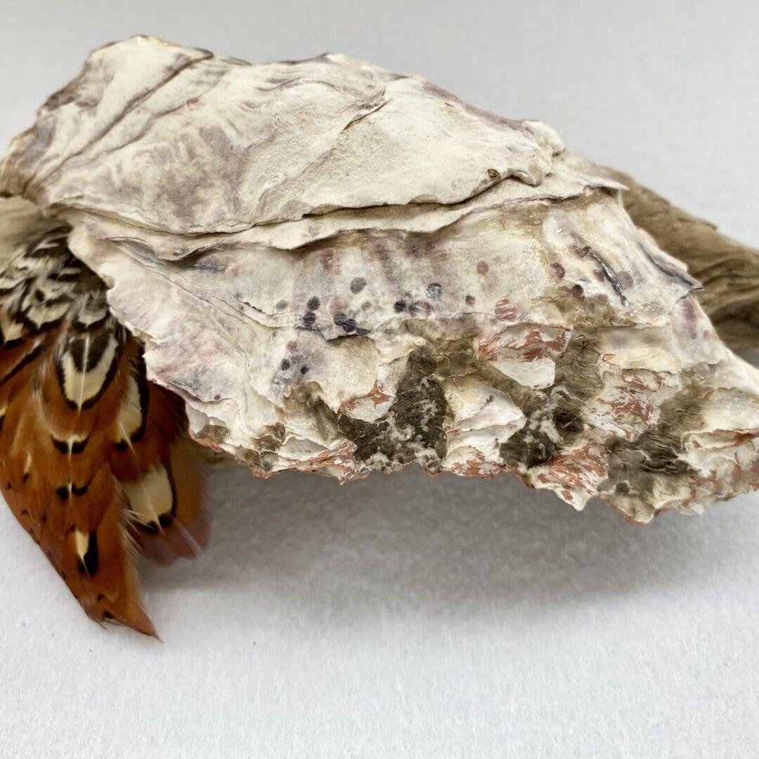 A small handcrafted Decoupaged Oyster Shell with bees - Image 2