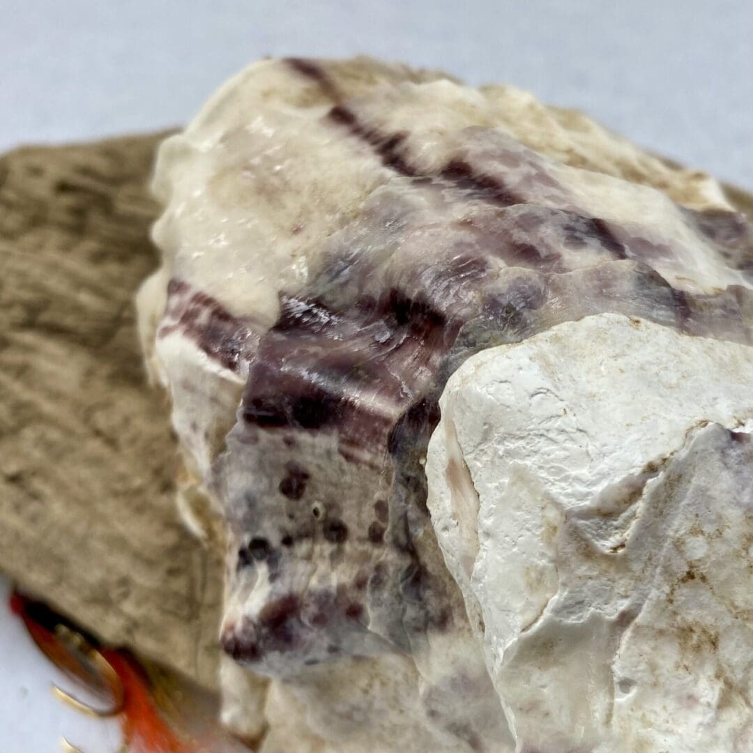Large handcrafted Decoupaged Oyster Shell - Image 5
