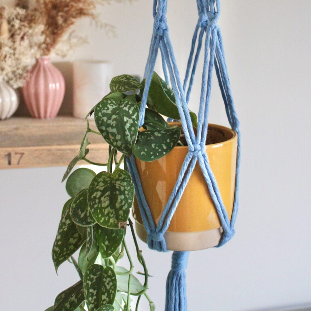 DIY Plant Hanger Kit, Macrame DIY Kit, Gardeners Gift, Plant Lover Gift, Plant Hangers - Image 7