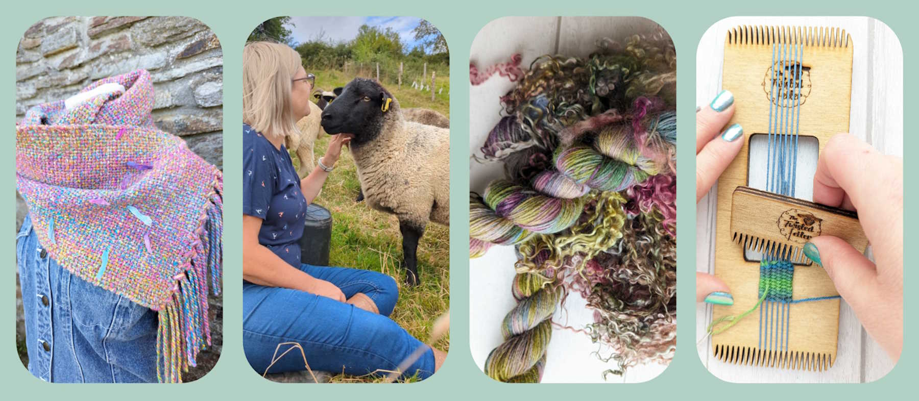 collage of photos grom the Twisted Felter of woven scarf, sheep. yarn and weaving loom