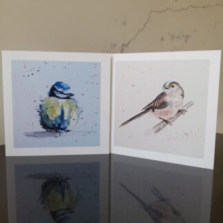 Pack of 2 British Garden Bird Blank Greetings Cards including Blue Tit and Long Tailed Tit