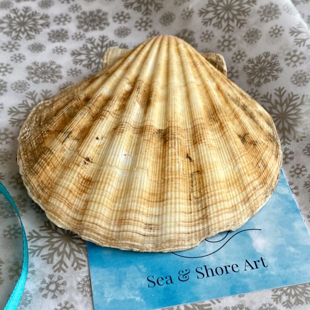 A stunning handmade Scallop shell featuring pretty purple and lilac flowers - Image 3
