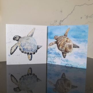 Turtle Blank Greetings Cards