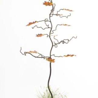 Our beautiful 15 leaf Oak tree bird feeder tree stand and sculpture in mild steel 15 marine grade stainless steel UV stable leaves in a myriad of colours from copper, gold pinks, purples and blues. Often ordered as a personalised family tree,