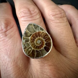 Small Ammonite Sterling Silver Ring - Size R 1/2