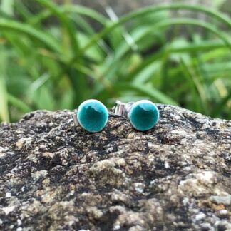 Little silver and turquoise enamel round stud earrings