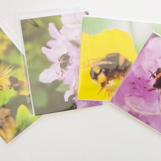 Pack of 4 Flowers and Bees Greeting Cards - Botanical Photography Card Multipack - A6 - Any Occasion - Blank Inside