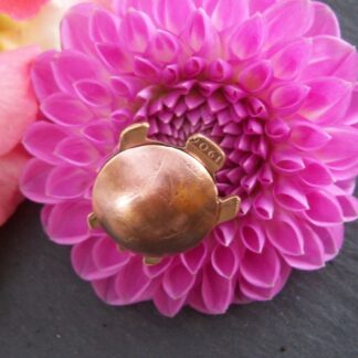 Tortoise Brooch