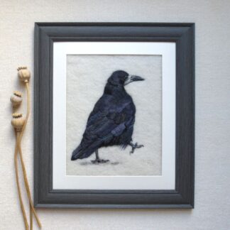 Black rook bird from behind, walking away and looking to the right with left leg on the ground and right leg raised taking a step.