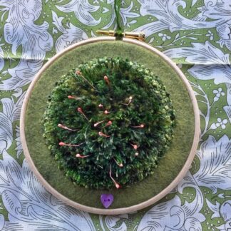 Stumpwork embroidered Wall Screw Moss on a 4" embroidery hoop