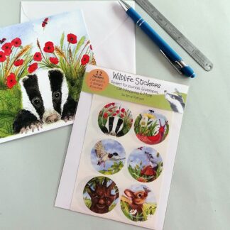 A beautiful set of twelve colourful self adhesive stickers of British wildlife characters for sealing card envelopes, gift wrap or decorating journals. Matching cards are available too.