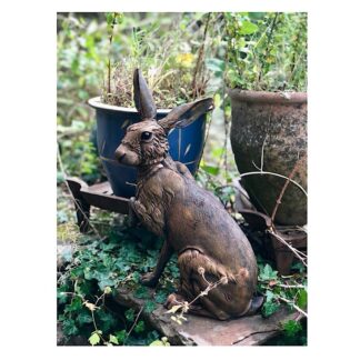 Large sitting Hare Sculpture with a rust finish in a garden setting