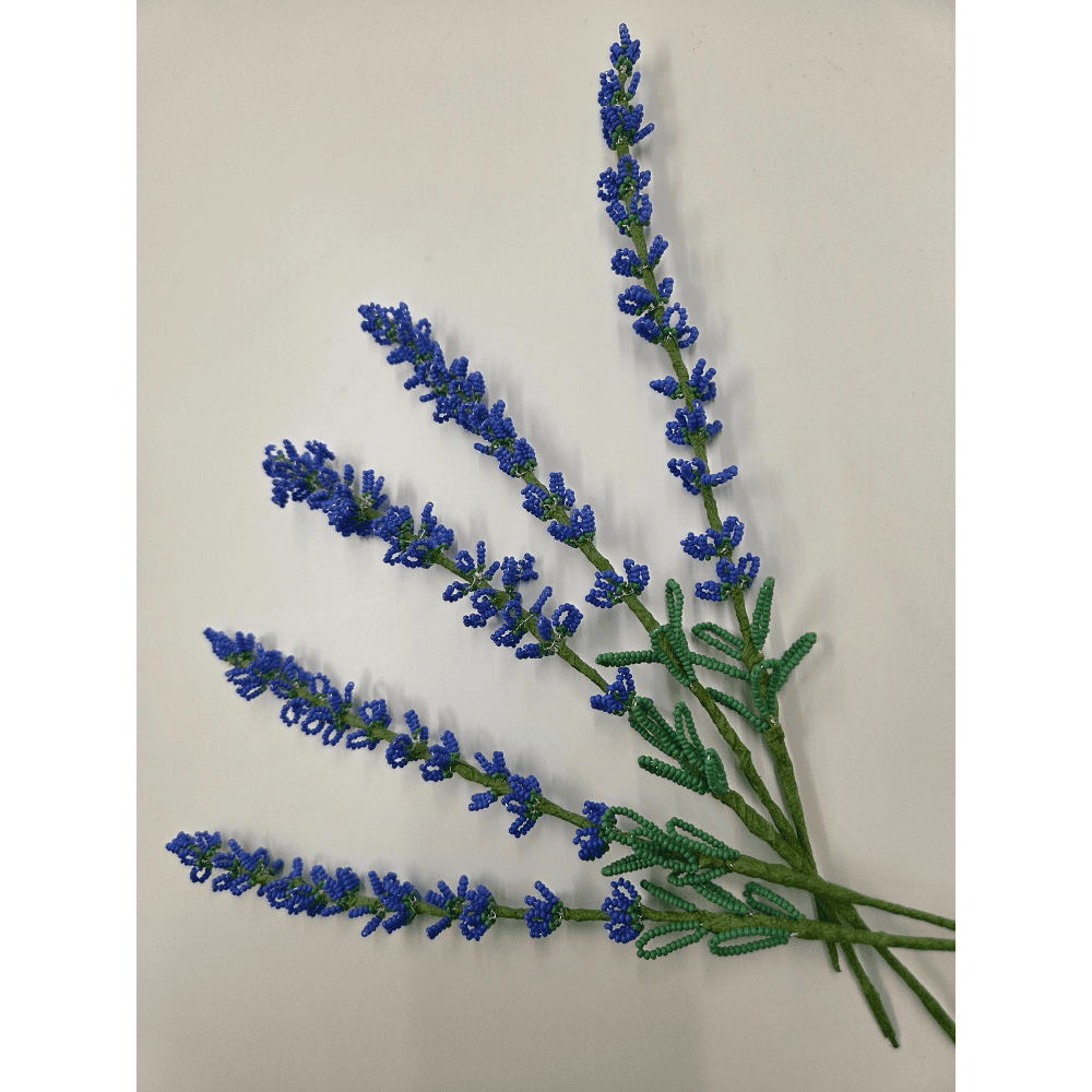 Pictured is 5 stems of french beaded lavender on a white background