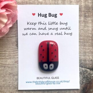 Handmade-fused-glass ladybird-pocket-love- bug-hug