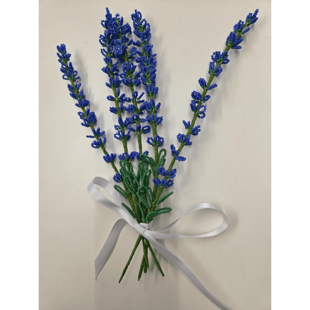 Pictured is 5 stems of french beaded lavender tied together with white ribbon, on a white background