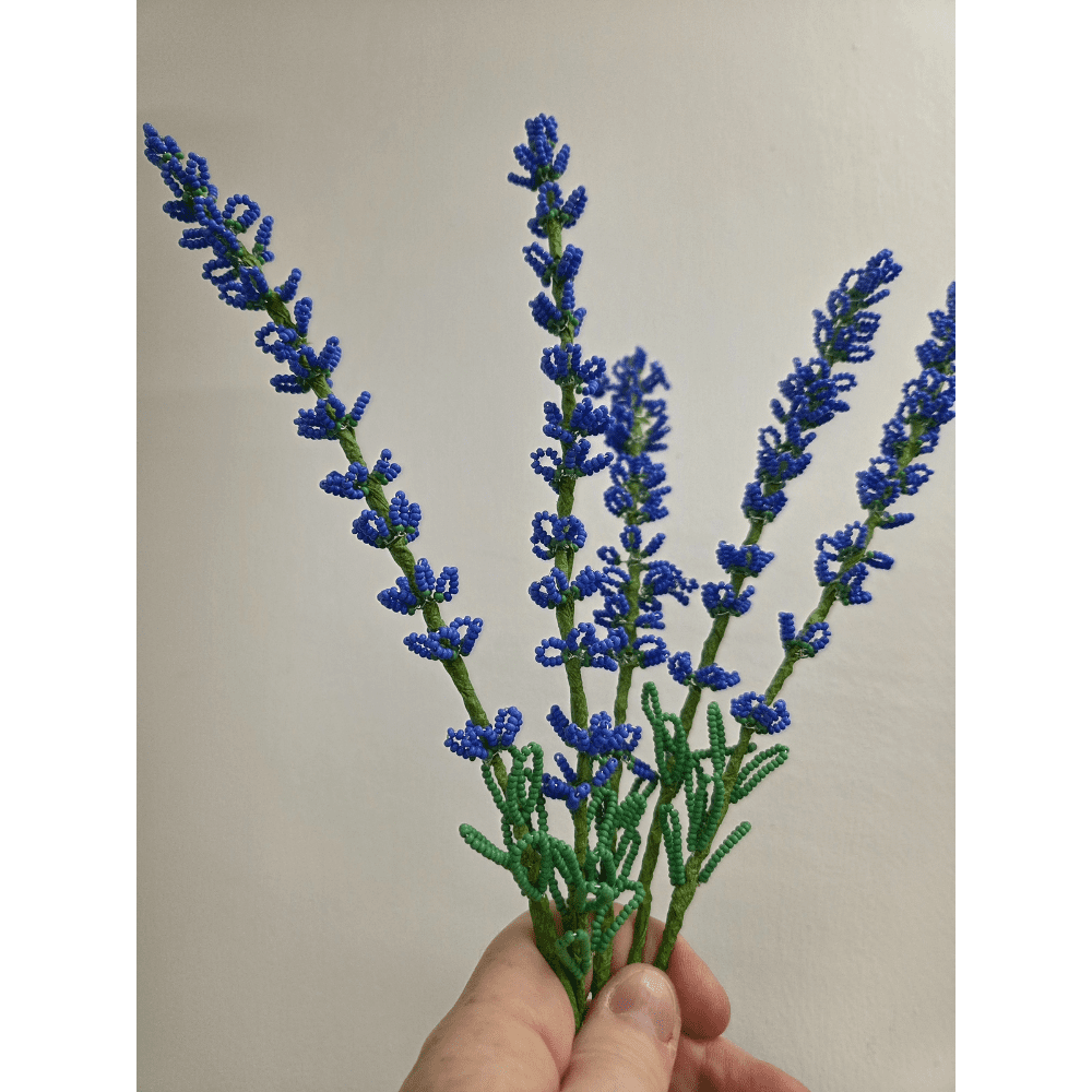 Photo is of 5 stems of french beaded lavender being held up against a white background