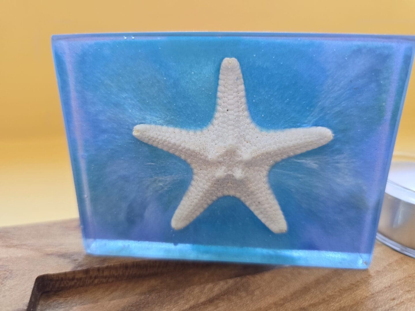Close-Up of Starfish in Ocean Resin Block