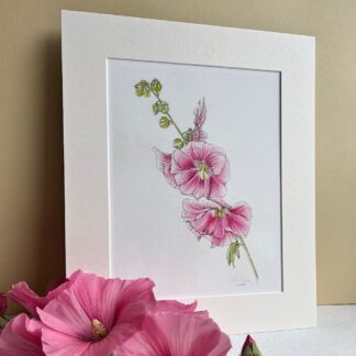 Rectangle, mounted giclee print of a pink hollyhock