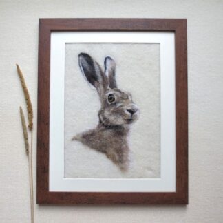 Portrait of a brown hare. The hare has it's ears up and is looking back over it's shoulder with a startled look on it's face.