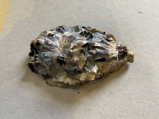 Handcrafted Decoupaged Oyster Shell - Image 2