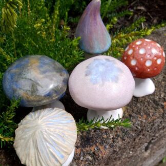 Set of 5 Mixed Colour Mini Ceramic Mushrooms