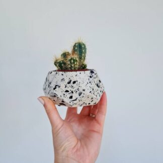 Handmade Terrazzo Plant Pot: Monochrome Hexagon Succulent Planter