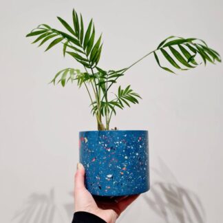 Navy Terrazzo Plant Pot: Handmade Indoor Planter (H.12cm x w.15cm)