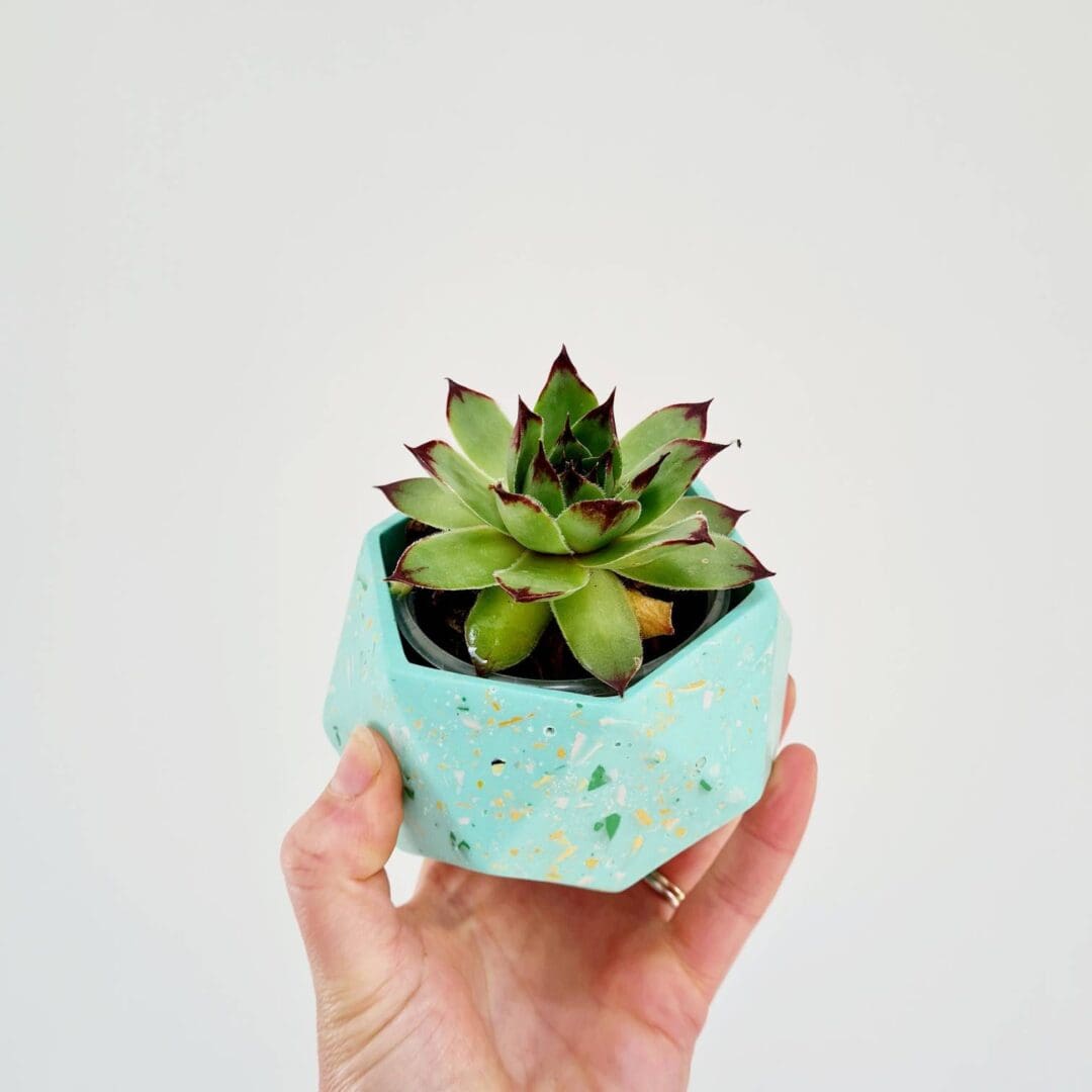 Mint Green Terrazzo Plant Pot: Handmade Jesmonite Succulent Planter