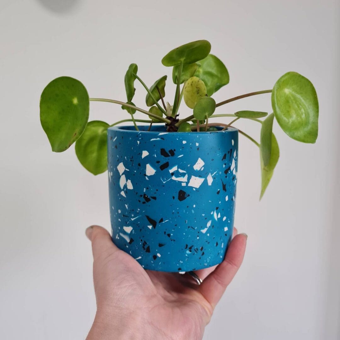 Teal Terrazzo Plant Pot: Handmade Round Indoor Planter