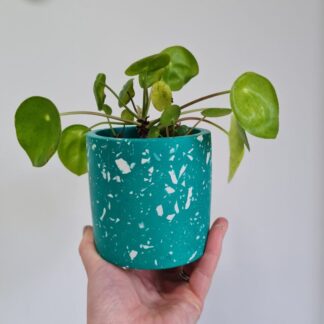 Green Fleck Terrazzo Plant Pot: Handmade Multi-Use Holder