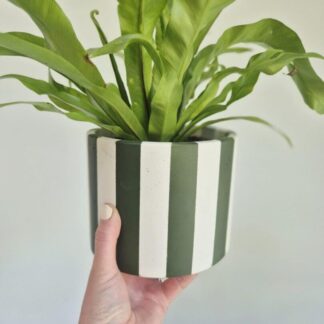 Handcrafted Green Striped Plant Pot: Large Indoor Planter