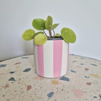 Handmade Candy Pink Striped Pot: Multi-Use Planter, Pen and Brush Holder