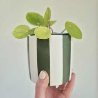 Handmade Green Striped Pot: Multi-Use Planter, Pen and Brush Holder