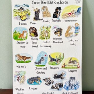 #illustrations #prints #illustratedprints #painting #dogillustration #dogcharacter #dogbehaviour #englishshepherds